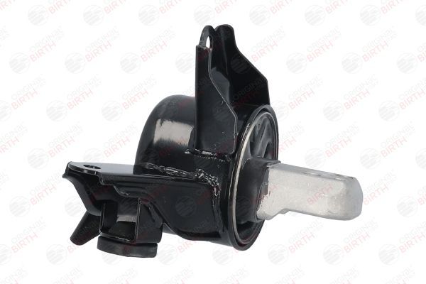 Variklio montavimas BIRTH 52921