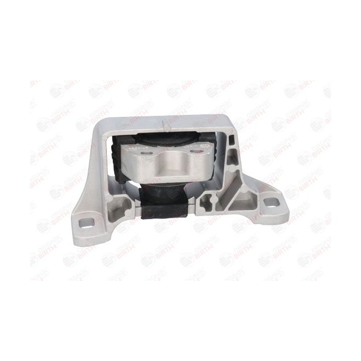 Variklio montavimas BIRTH 52928