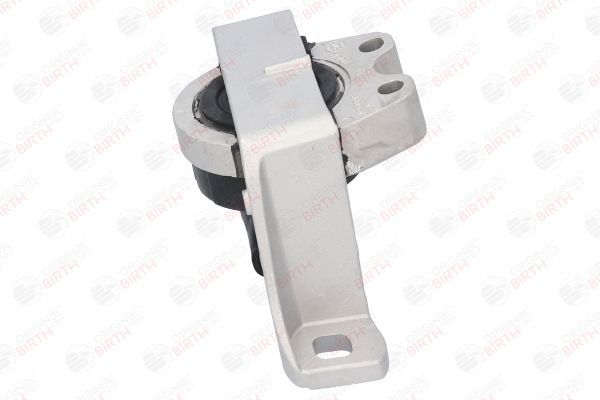 Variklio montavimas BIRTH 52928