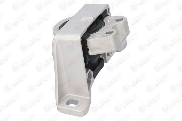 Variklio montavimas BIRTH 52928