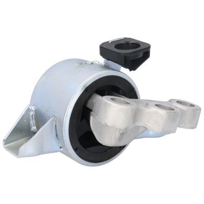 Variklio montavimas BIRTH 52955