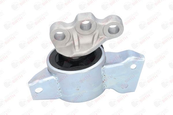 Variklio montavimas BIRTH 52955