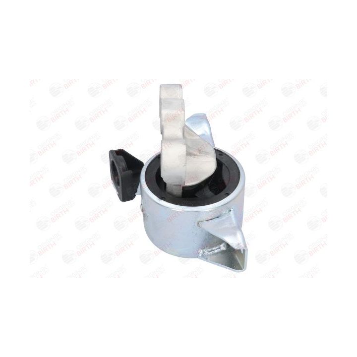 Variklio montavimas BIRTH 52955