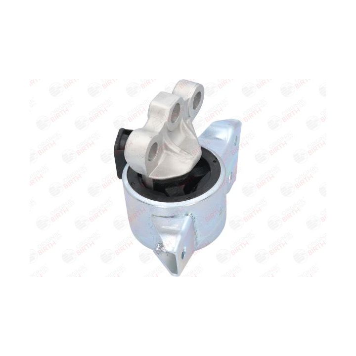 Variklio montavimas BIRTH 52955