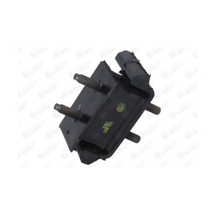 Variklio montavimas BIRTH 52957