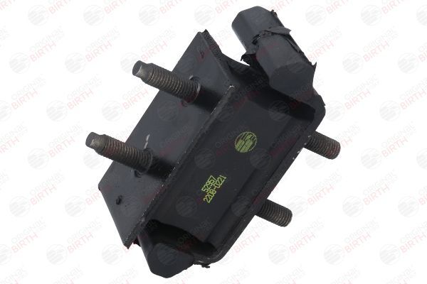 Variklio montavimas BIRTH 52957