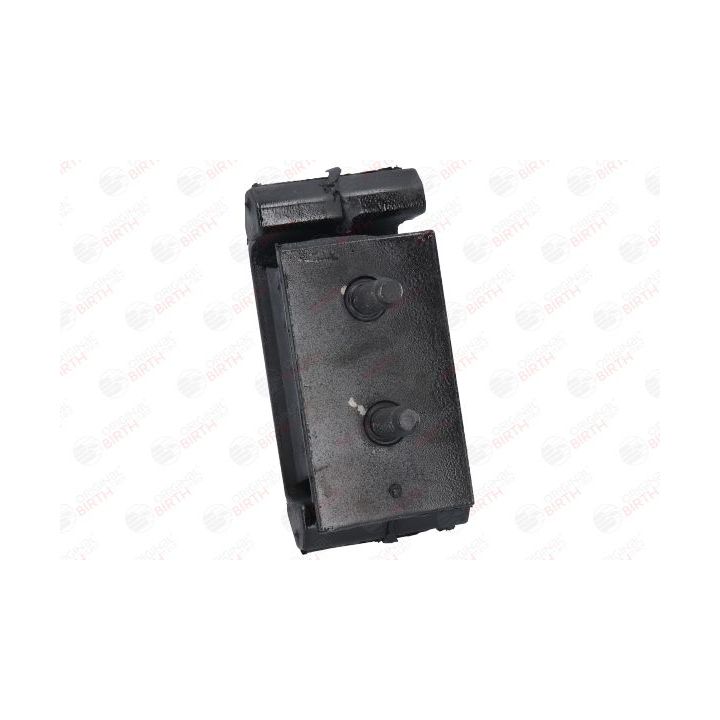 Variklio montavimas BIRTH 52957