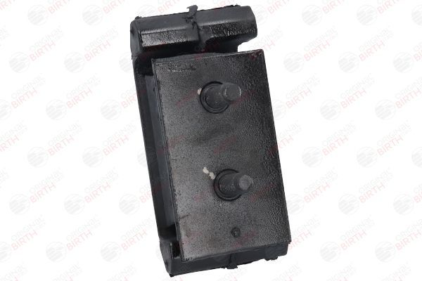 Variklio montavimas BIRTH 52957