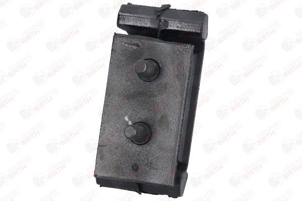 Variklio montavimas BIRTH 52957