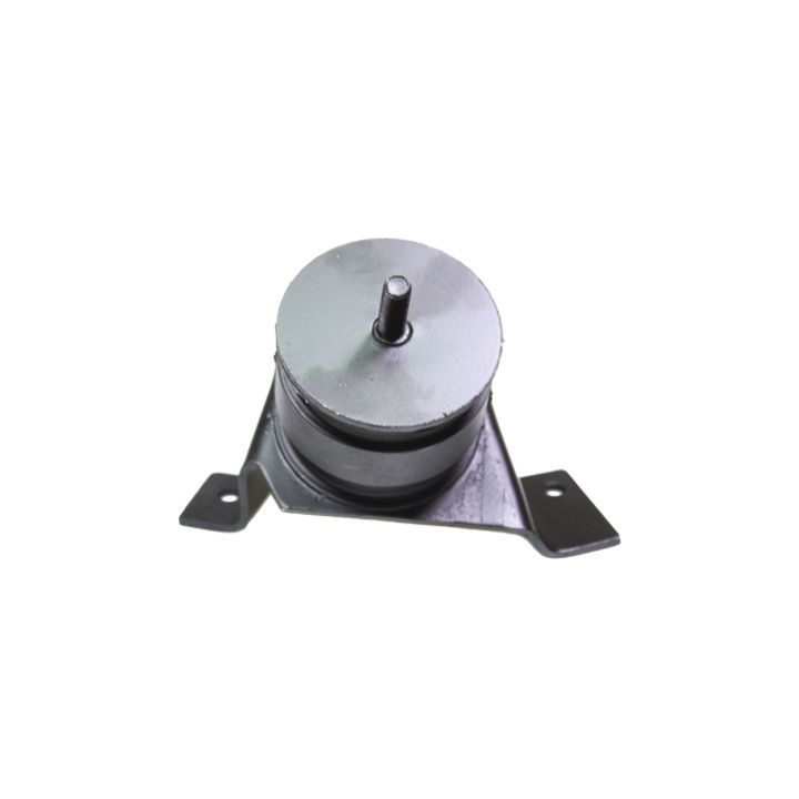 Variklio montavimas BIRTH 52958