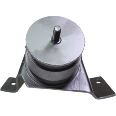 Variklio montavimas BIRTH 52958