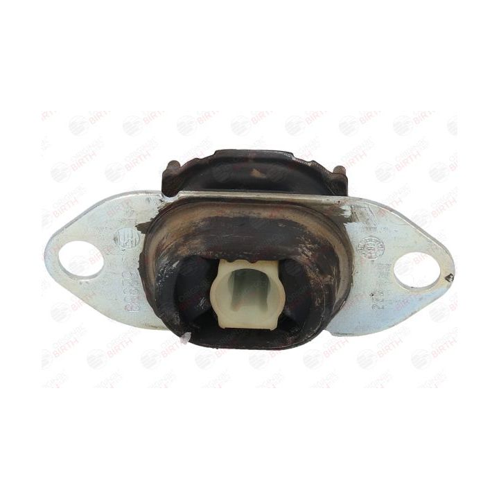 Variklio montavimas BIRTH 52989