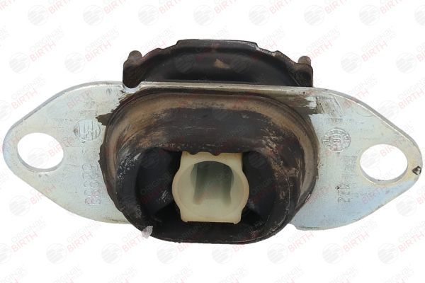 Variklio montavimas BIRTH 52989