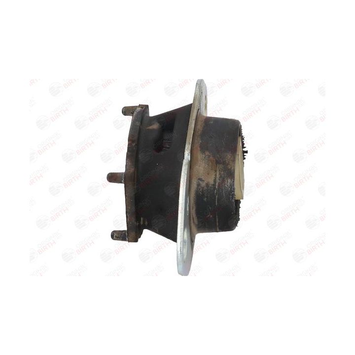 Variklio montavimas BIRTH 52989