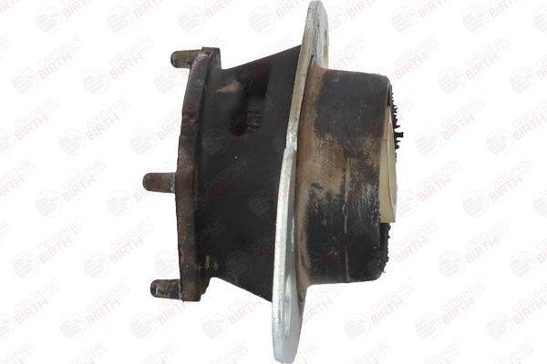 Variklio montavimas BIRTH 52989