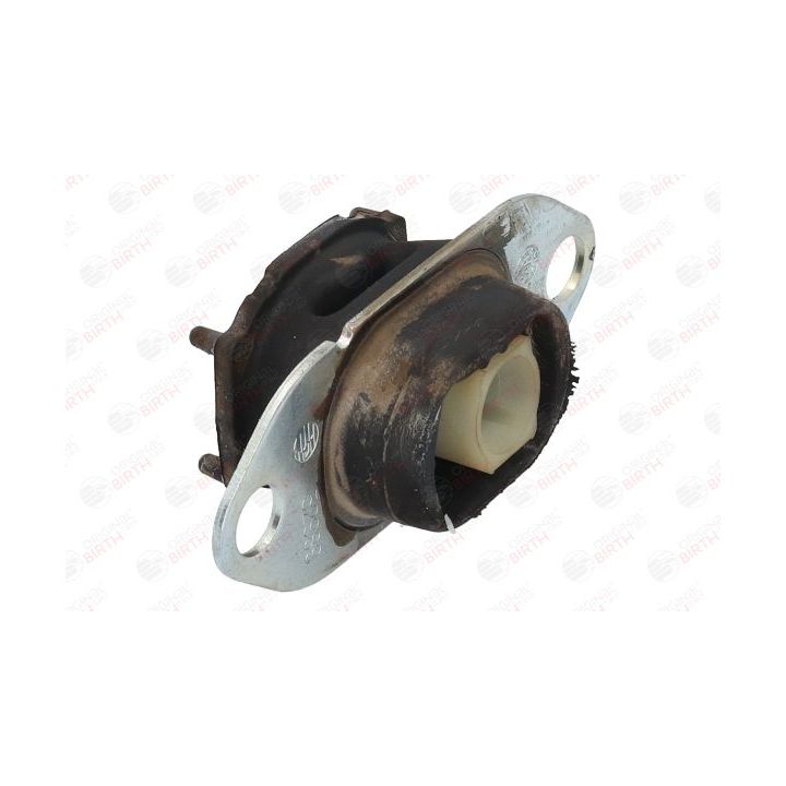 Variklio montavimas BIRTH 52989