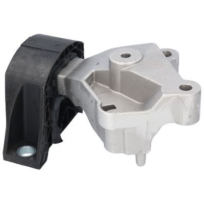 Variklio montavimas BIRTH 53025