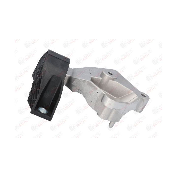 Variklio montavimas BIRTH 53025