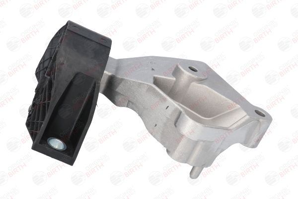 Variklio montavimas BIRTH 53025