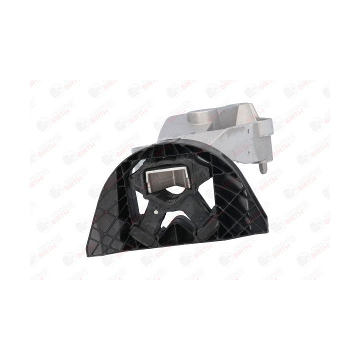 Variklio montavimas BIRTH 53025