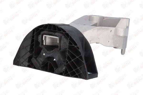 Variklio montavimas BIRTH 53025