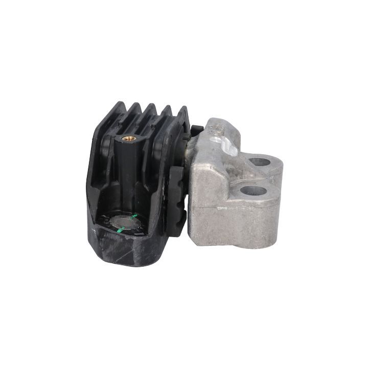 Variklio montavimas BIRTH 53037