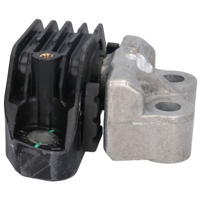 Variklio montavimas BIRTH 53037