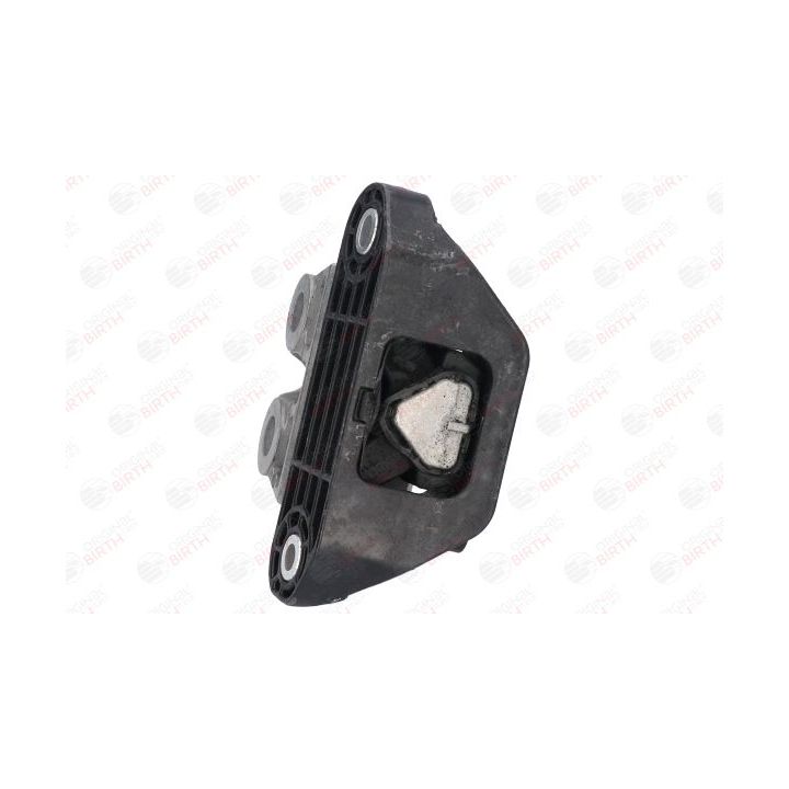 Variklio montavimas BIRTH 53037