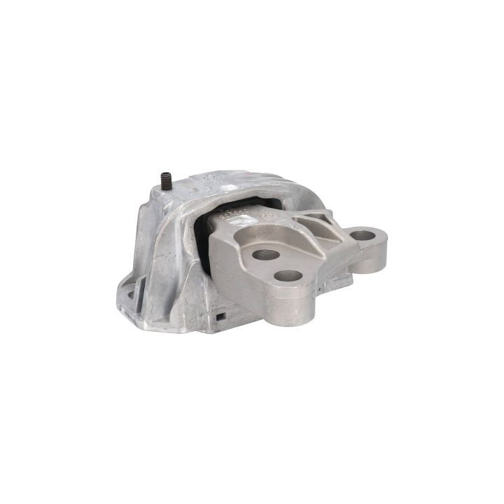 Variklio montavimas BIRTH 53039