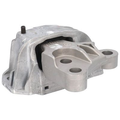 Variklio montavimas BIRTH 53039