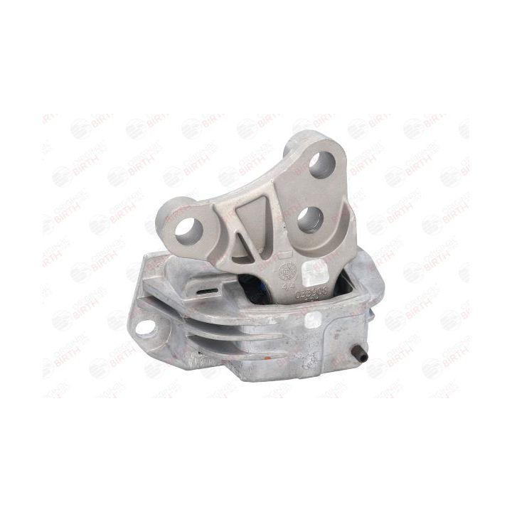 Variklio montavimas BIRTH 53039