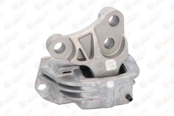 Variklio montavimas BIRTH 53039