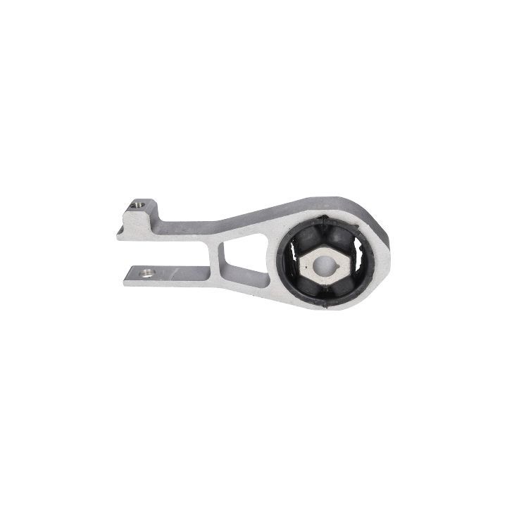 Variklio montavimas BIRTH 53040