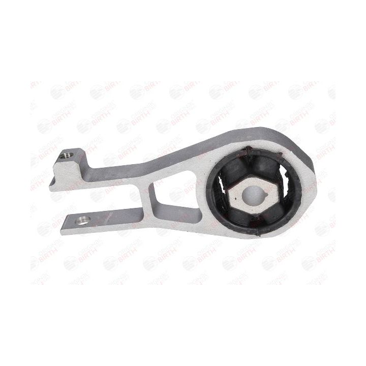 Variklio montavimas BIRTH 53040