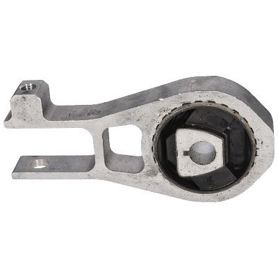 Variklio montavimas BIRTH 53041