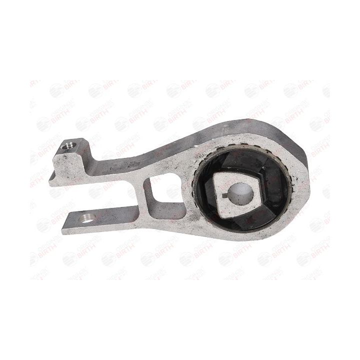 Variklio montavimas BIRTH 53041