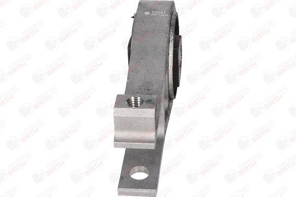 Variklio montavimas BIRTH 53041