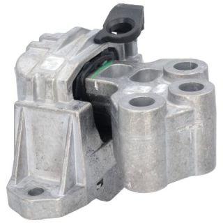 Variklio montavimas BIRTH 53043