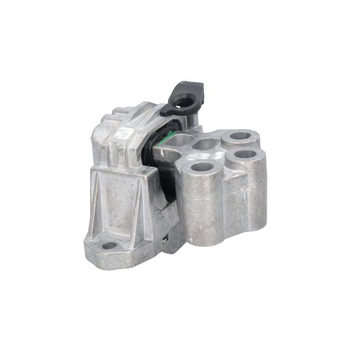 Variklio montavimas BIRTH 53043