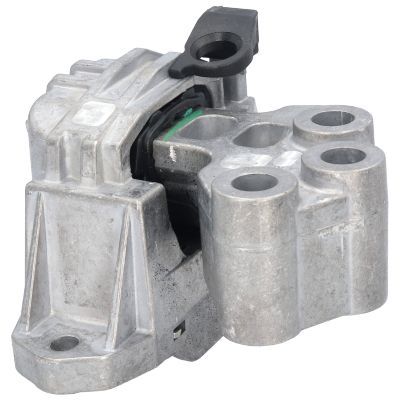 Variklio montavimas BIRTH 53043