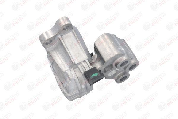 Variklio montavimas BIRTH 53043