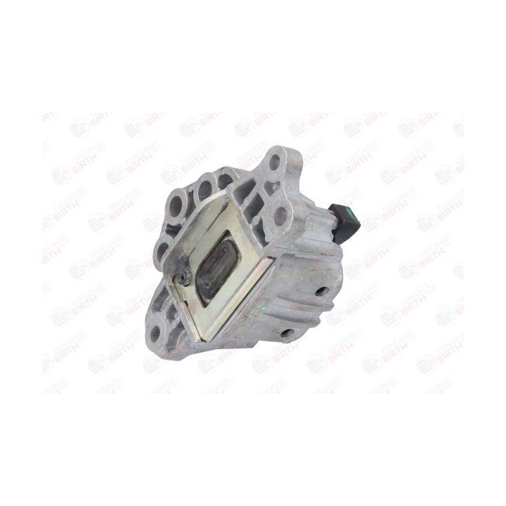 Variklio montavimas BIRTH 53043