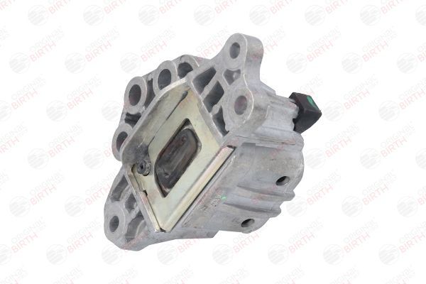 Variklio montavimas BIRTH 53043