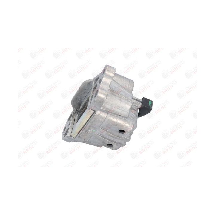 Variklio montavimas BIRTH 53043