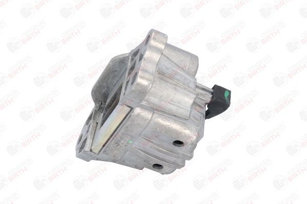 Variklio montavimas BIRTH 53043