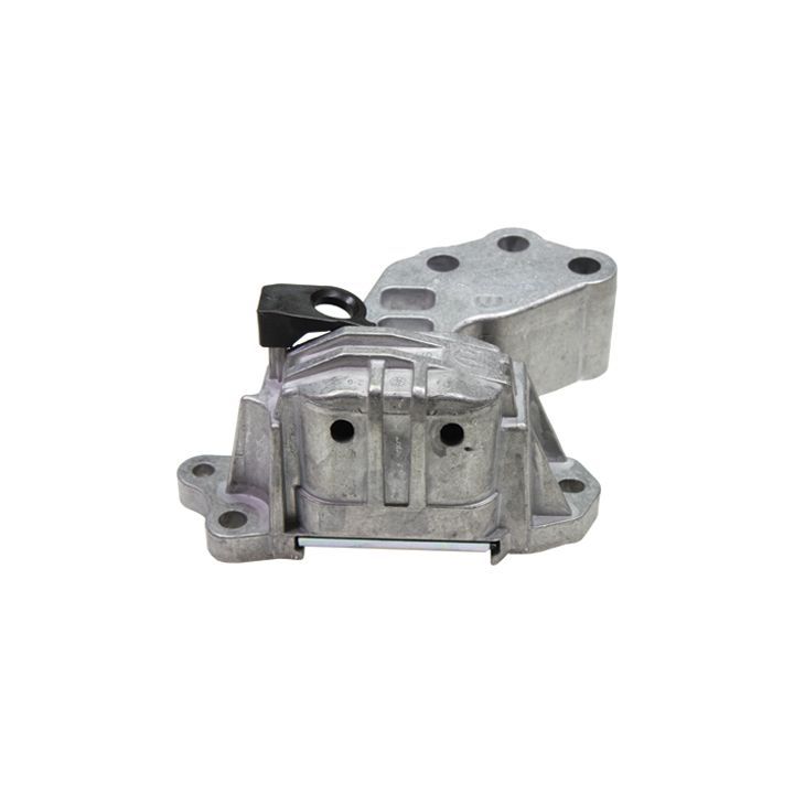 Variklio montavimas BIRTH 53044