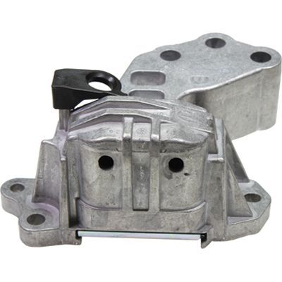 Variklio montavimas BIRTH 53044