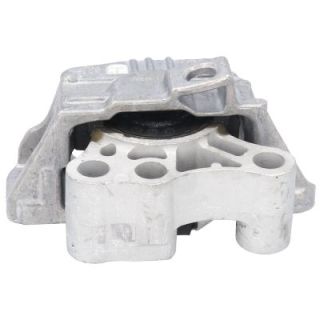 Variklio montavimas BIRTH 53045