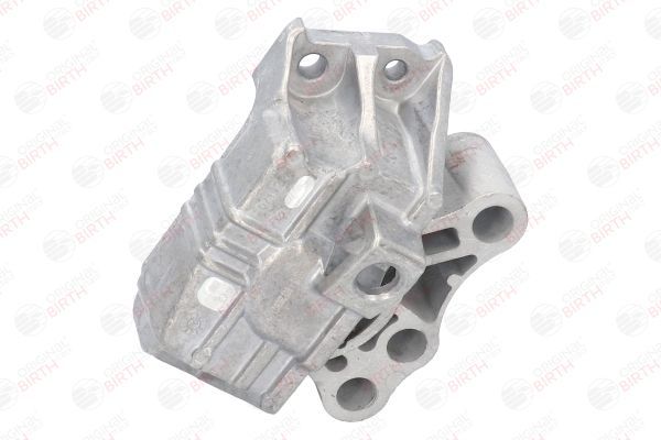 Variklio montavimas BIRTH 53045