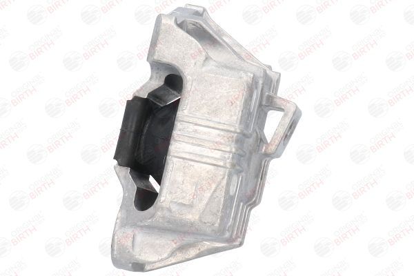 Variklio montavimas BIRTH 53045